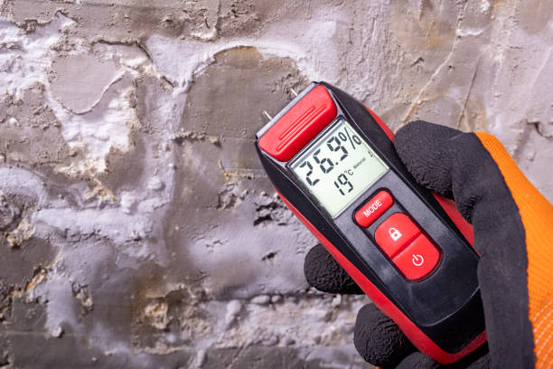 Best Local Mold Removal Service  in West Branch, MI